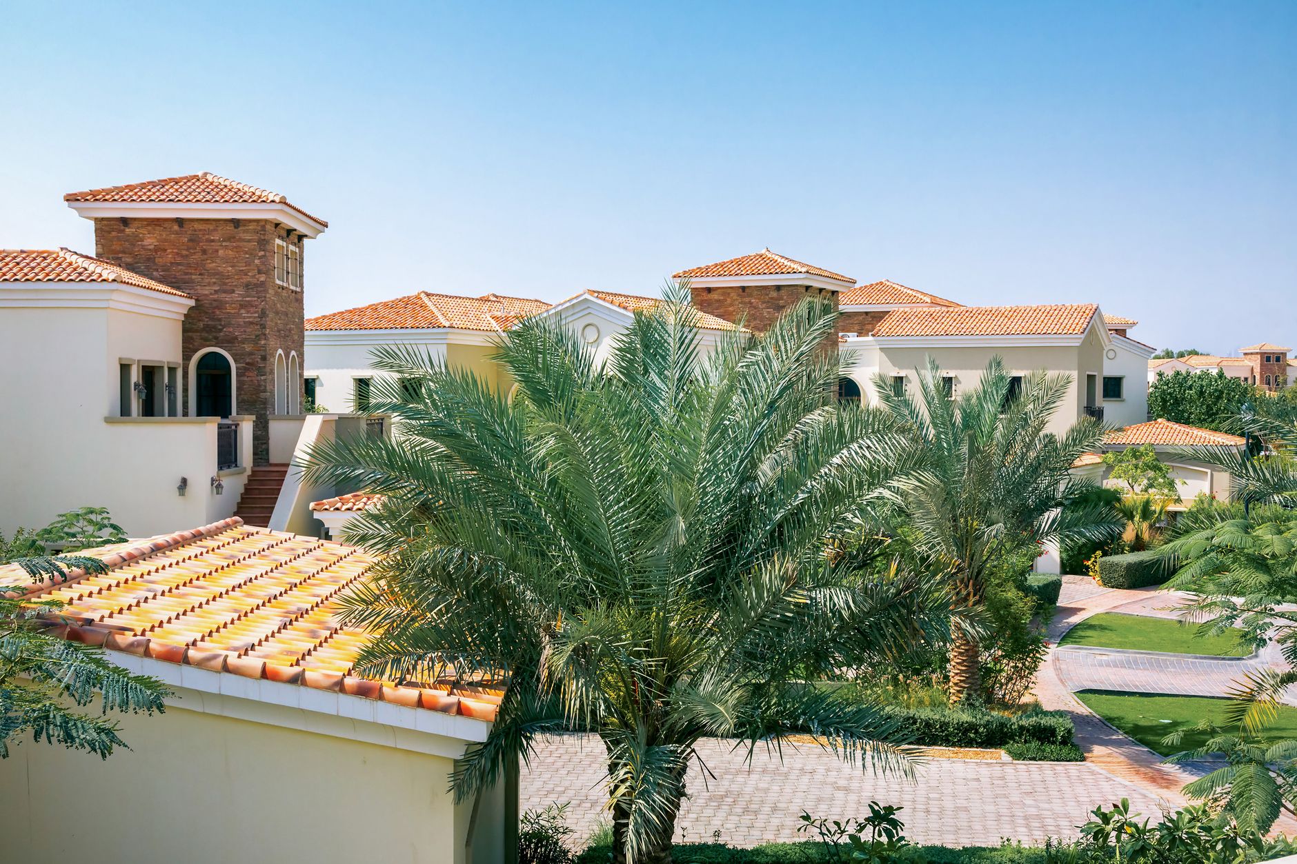 Palm-lined villa garden